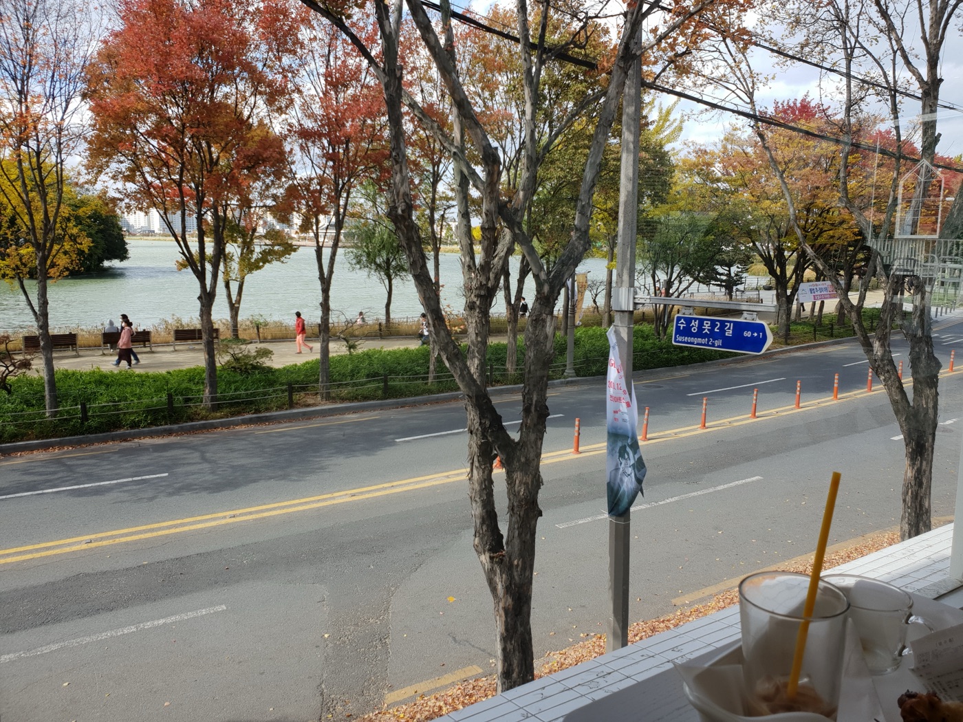 창문 너머 수성못길 도로와 붉고 노란 나무, 물가를 걷는 사람들