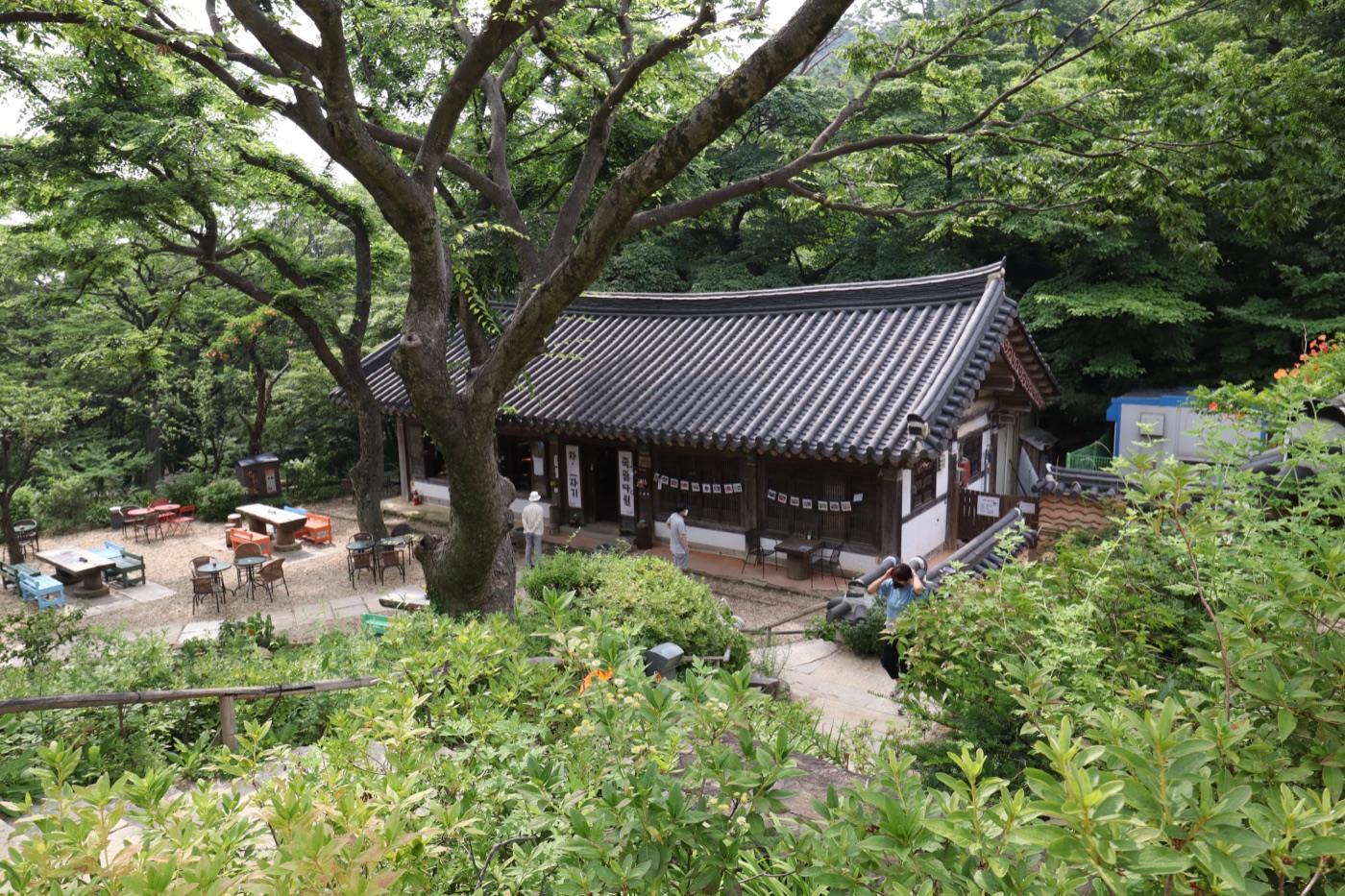 회색 기와지붕과 죽림다원 간판, 나무와 꽃 화분, 바깥 좌석이 보이는 찻집