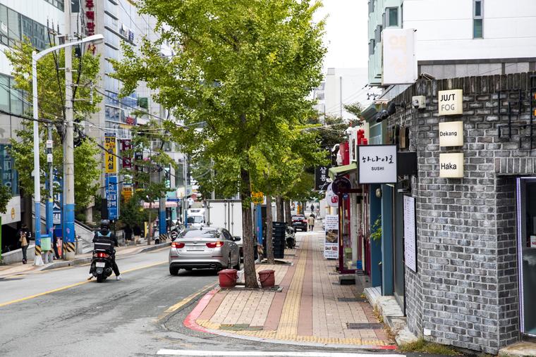 은행나무가 서 있는 보도 옆으로 차량이 다니고, 오른쪽에 회색 벽돌 상점이 보인다.