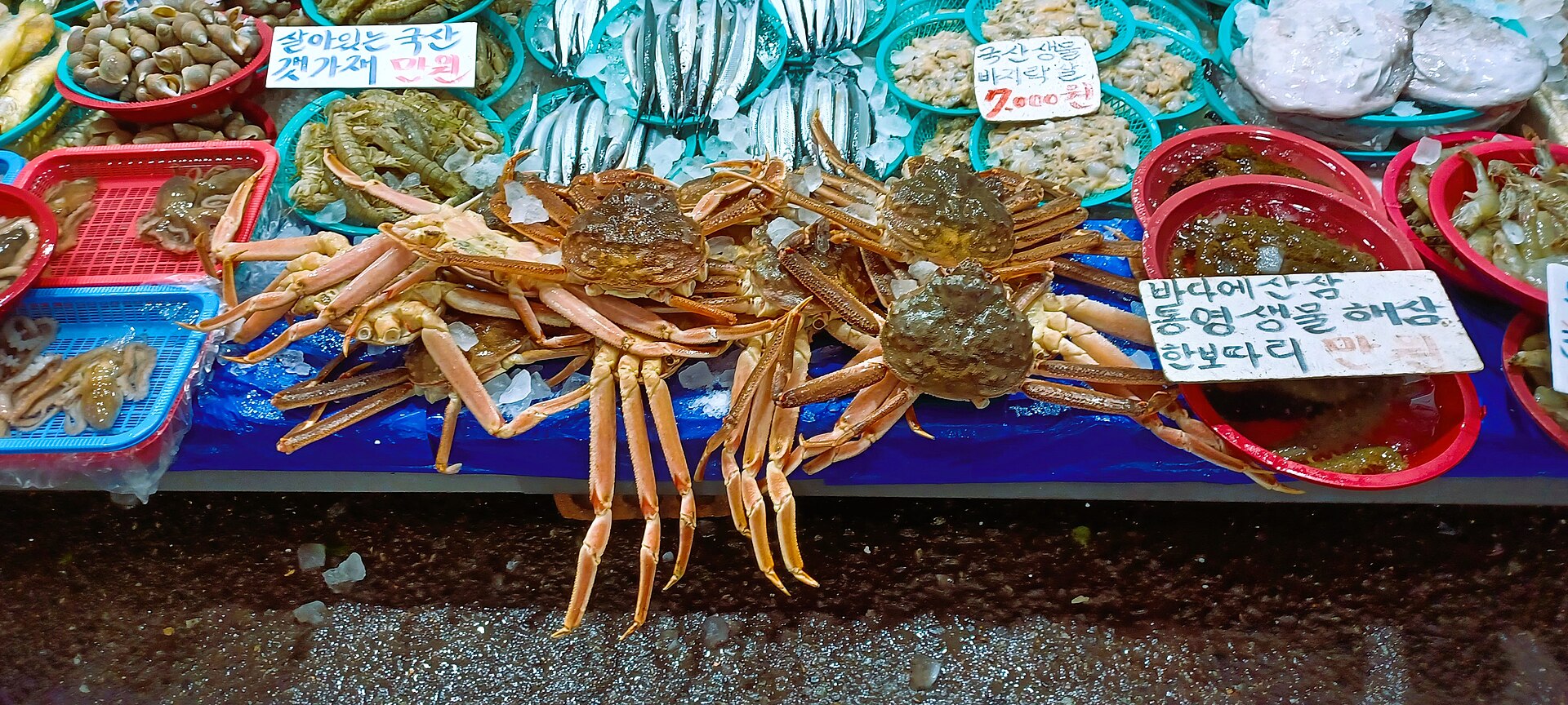 A market stall of snow crabs and fish on ice with handwritten Korean price cards
