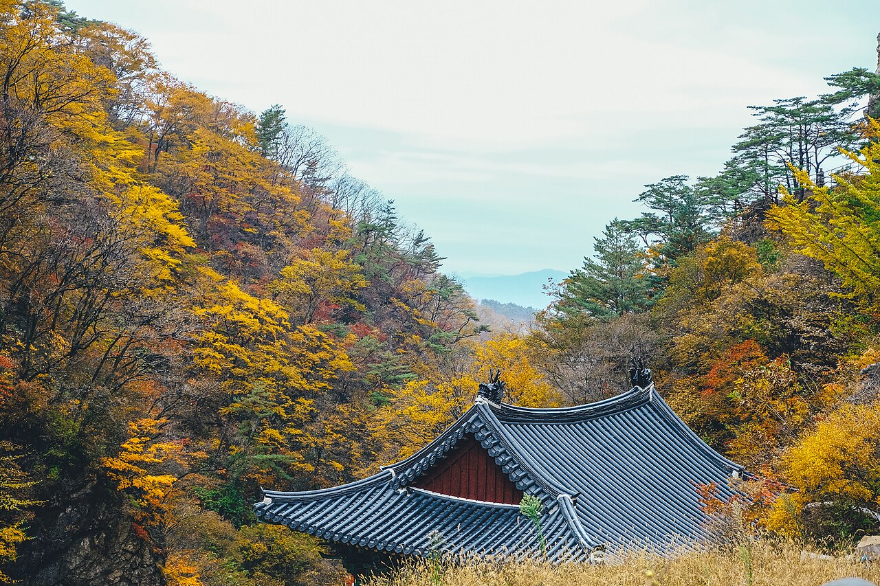 노랗고 붉은 단풍 골짜기 아래 기와지붕이 보이는 치악산 입석사