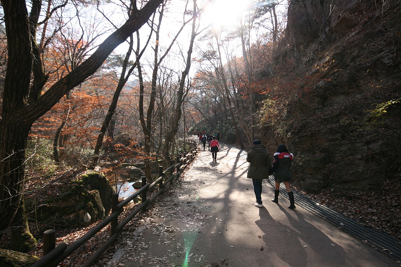 단풍 든 나무 사이 포장 탐방로를 걷는 등산객