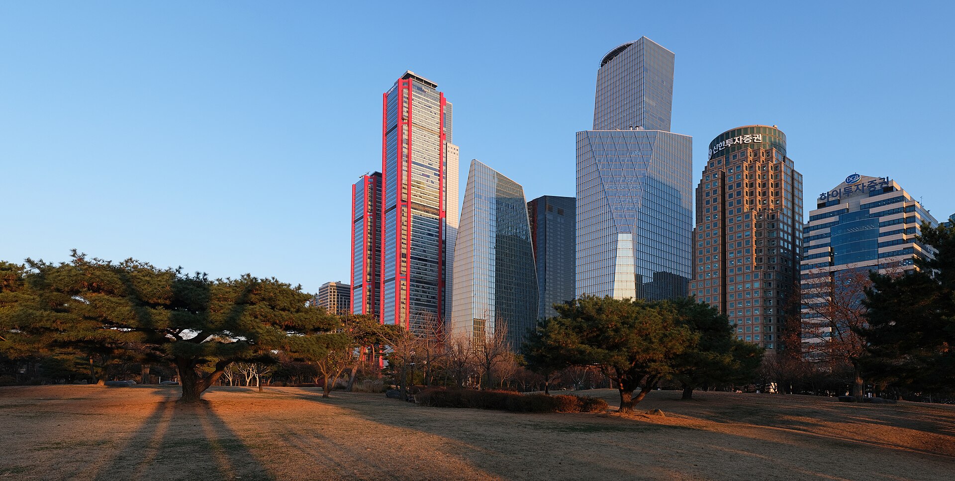 Yeouido skyscrapers rising behind pine trees