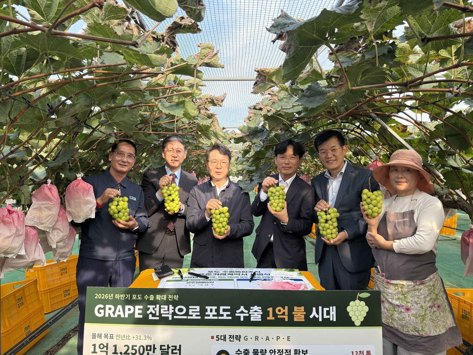 Six participants hold bunches of green grapes beneath grapevines, with a grape-export strategy sign in front.