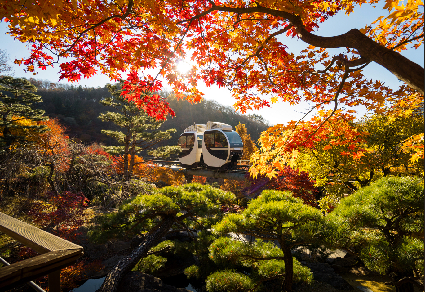 The Hwadam Forest monorail seen through red and yellow maple branches