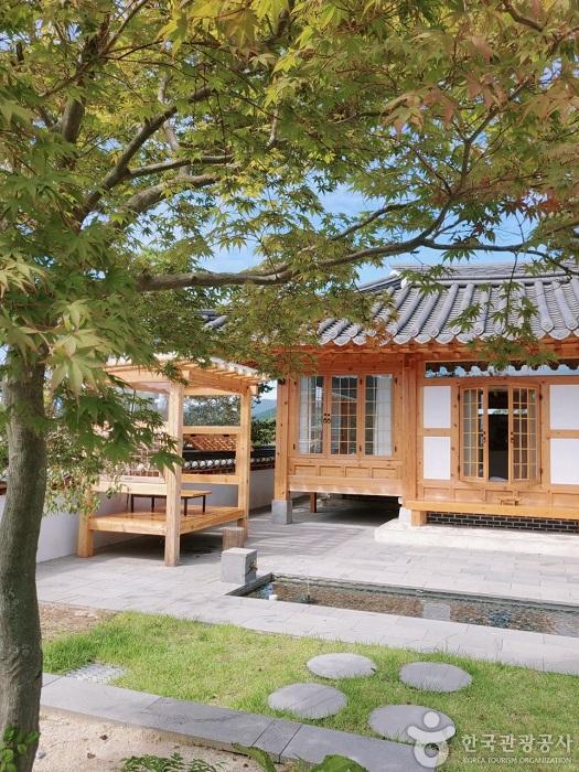 스테이황룡